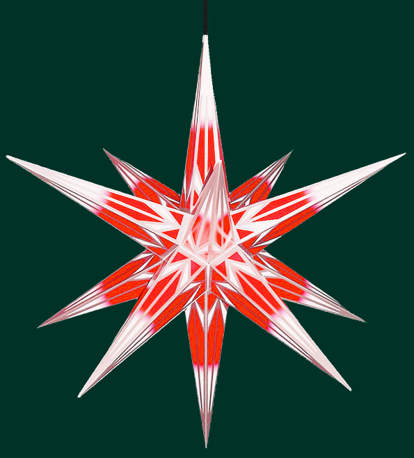 Weihnachtsstern Rot Weiß