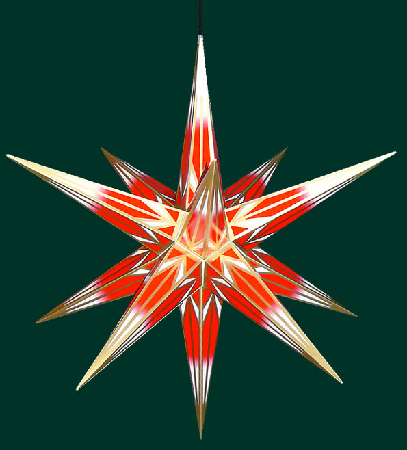 Weihnachtsstern Rot Weiß
